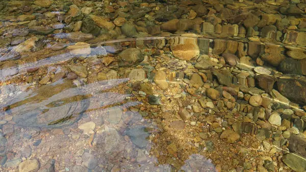 Background Shiny Pebbles River Bottom Abstract Pattern Pebbles Surface Water — Stock Photo, Image