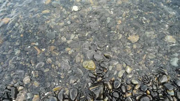 Background Shiny Black Pebbles River Bottom Abstract Pattern Pebbles Surface — Stock Photo, Image