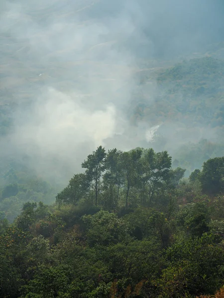 Forest Fire and White smoke or wildfire from fire on the mountain hill of village farm or plantation near the forest in Thailand, Asia. Unhealthy air pollution during the dry season, due to forest and agricultural burning.