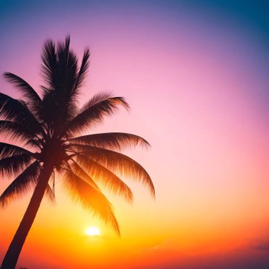 Tropik gündoğumunda ya da günbatımında palmiye ağaçlarının silueti. Plam ve plaj arka plan kavramları. Palmiye ağaçları, tropikal titreşimler, plamlar, günbatımı, arka ışıklandırma arasında güneşin batışının yaz fotoğrafı