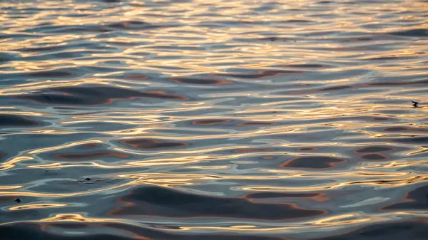 Beautiful close up sea water surface. Close-up of golden water with calm ripples. Sunset colors. Beautiful colors, wonderful sun rays. Aerial view of sunset waves on the ocean surface. Top view,