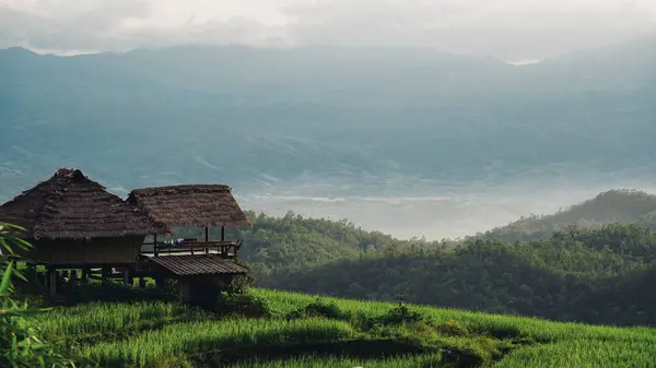 a remote mountain village at dawn, with misty valleys, cozy cottages, and the silent beauty of daybreak in Thailand. A small hut in the middle of the mountain with a stunning backdrop. Wooden huts in the middle of the forest and misty mountains in wi