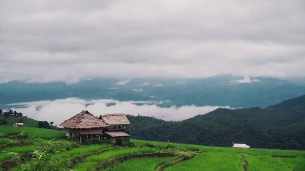 a remote mountain village at dawn, with misty valleys, cozy cottages, and the silent beauty of daybreak in Thailand. A small hut in the middle of the mountain with a stunning backdrop. Wooden huts in the middle of the forest and misty mountains in wi
