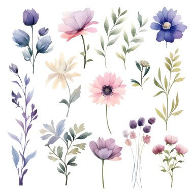 Elle boyanmış suluboya çayır otları ve çiçekler. Suluboya çiçekler. Renkli yumuşak çiçeklerin suluboyasını ayarla. Çiçekler beyaz arka planda izole edilir. Çiçekler pastel renkler resimleme.