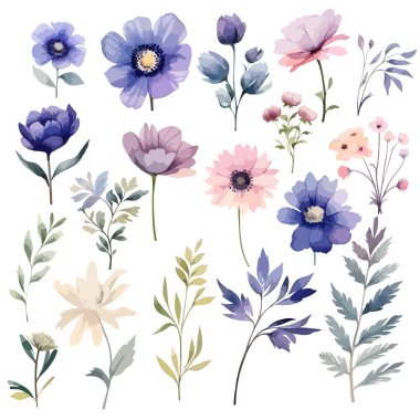 Hand painted watercolor meadow herbs and flowers. Watercolor flowers. Set Watercolor of multicolored colorful soft flowers. Flowers are isolated on a white background. Flowers pastel colors illustration. clipart