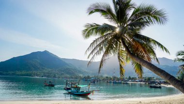 Tatil, sahil, yaz ve tatil konsepti. Hamaklı hindistan cevizi ağaçları. Sahilde gün batımı manzaralı. Plaja yakın günbatımı olan tropik bir tatil yeri..
