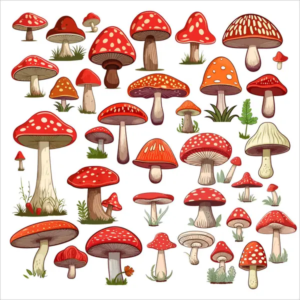 Beyaz renkte izole edilmiş vektör düz çizimlerin mantar koleksiyonu. Cep, chanterelle, bal agarik. Moda düz mantar seti. Güzel renkli mantarlar. Düz tasarım kavramları. Yaratıcı vektör illüstrasyonu