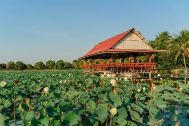 Lotus havuzunda geleneksel Tayland usulü pavyon. Ahşap Tayland pavyonu günbatımını yansıtıyor. Nehirdeki eski ahşap Tayland köşkü.