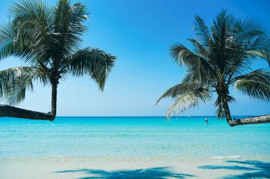 Tayland 'daki Koh Kood adasında palmiyeler ve turkuaz deniz manzaralı güzel bir sahil. Kum ve hindistan cevizi ağacıyla kaplı tropik deniz plajı açık mavi gökyüzü arka planı. Güneşli beyaz kumsal yaz tatili ve tropikal plaj konsepti.