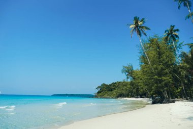 Tayland 'daki Koh Kood adasında palmiyeler ve turkuaz deniz manzaralı güzel bir sahil. Kum ve hindistan cevizi ağacıyla kaplı tropik deniz plajı açık mavi gökyüzü arka planı. Güneşli beyaz kumsal yaz tatili ve tropikal plaj konsepti.