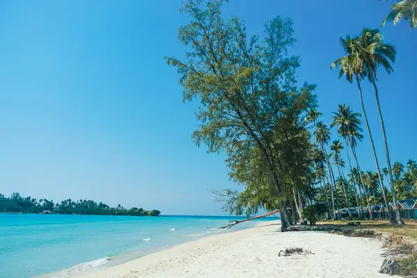 Doğa tropik plaj denizi. Koh Kood, Tayland 'da güzel mavi deniz suyu. Turkuaz mavi plaj, beyaz yumuşak kum ve yemyeşil ağaçlar. Mavi gökyüzü ve beyaz bulutları olan tropik bir sahil. Yaz tatili ve tatil iş seyahati kavramı.