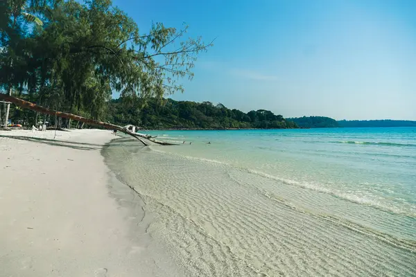 Doğa tropik plaj denizi. Koh Kood, Tayland 'da güzel mavi deniz suyu. Turkuaz mavi plaj, beyaz yumuşak kum ve yemyeşil ağaçlar. Mavi gökyüzü ve beyaz bulutları olan tropik bir sahil. Yaz tatili ve tatil iş seyahati kavramı.