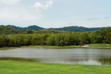 Göl tarlası, berrak mavi gökyüzü ve tüylü beyaz bulutları olan el değmemiş bir göl manzarası. Jedkod Pongkonsao, Saraburi, Tayland 'da kamp yapmak için güzel bir göl. Orman nehri ve çayırı olan doğa.