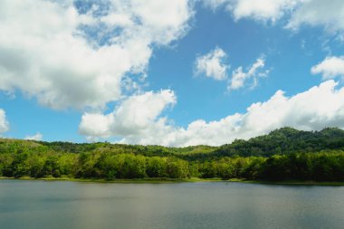 Göl tarlası, berrak mavi gökyüzü ve tüylü beyaz bulutları olan el değmemiş bir göl manzarası. Jedkod Pongkonsao, Saraburi, Tayland 'da kamp yapmak için güzel bir göl. Orman nehri ve çayırı olan doğa.