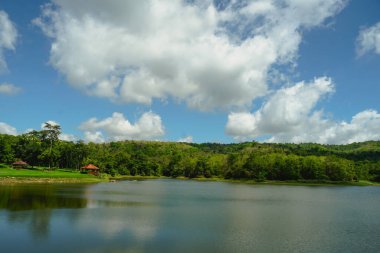 Göl tarlası, berrak mavi gökyüzü ve tüylü beyaz bulutları olan el değmemiş bir göl manzarası. Jedkod Pongkonsao, Saraburi, Tayland 'da kamp yapmak için güzel bir göl. Orman nehri ve çayırı olan doğa.