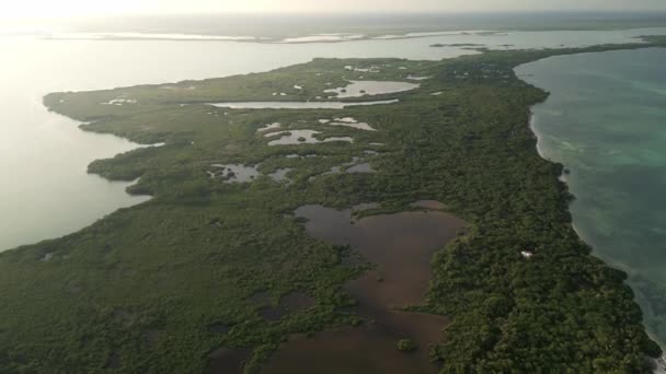 Mouche Drone Dessus Réserve Biosphère Parc Naturel Tulum Sian Kaan — Video