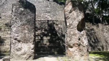 Calakmul Maya antik taş Meksika ormanlarında piramitleri harap eder. 
