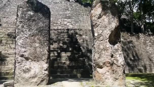 Calakmul Maya Antiche Vecchie Piramidi Pietra Rovine Nella Giungla Del — Video Stock