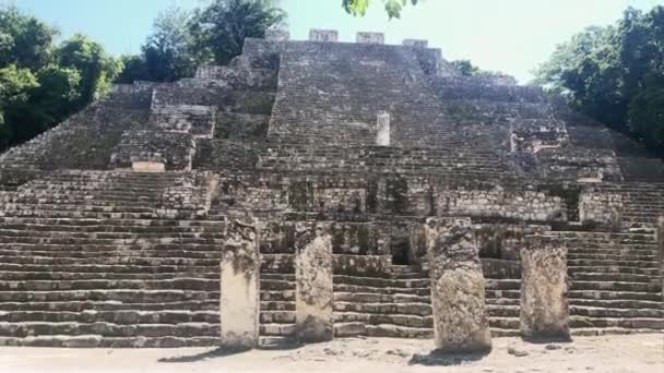 Calakmul Antiche Piramidi Maya Rovine Messico Profonda Vegetazione Della Giungla — Video Stock