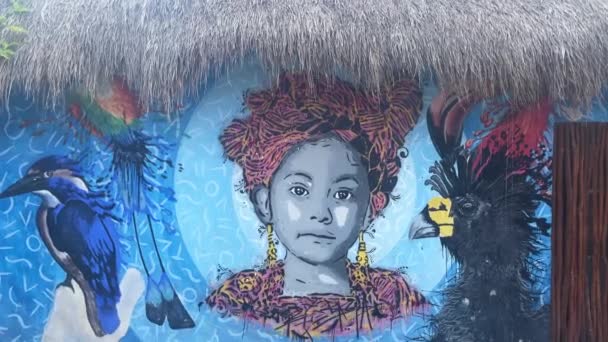 ラグーナ7色で有名なバカラ クインタナ メキシコの旅行リゾートビーチタウンでストリートアートの壁画 — ストック動画