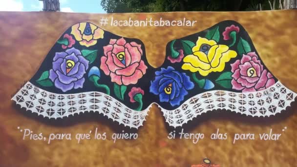 Street Art Τοιχογραφίες Bacalar Quintana Roo Μεξικό Ταξιδιωτικό Θέρετρο Παραλία — Αρχείο Βίντεο