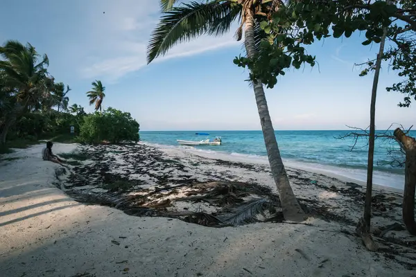 Tulum Sian Ka 'an' da doğal park biyosferi rezervi Punta Allen deniz fenerinin havadan yüksek açısı