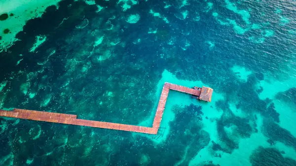Tropikal okyanusta trabzansız tahta kaldırım altında kumlu mercanlar ve berrak tropikal su
