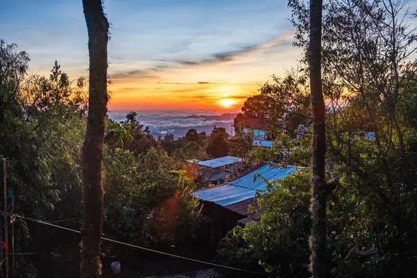 San Jose del Pacifico dağlarının hava manzarası Oaxaca eyaletindeki geleneksel Meksika köyü sihirli mantarlarla ünlü tıbbi bitki tedavisi olarak bilinir.