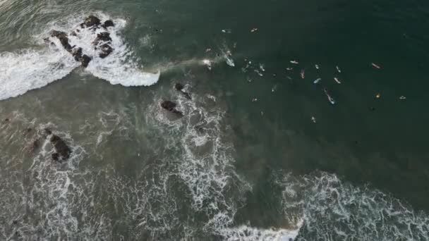 Antenn Topp Ner Surfare Samlas Havet Vatten Väntar Perfekta Vågor — Stockvideo