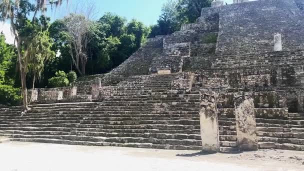 Calakmul Antiche Rovine Maya Messico Vegetazione Profonda Giungla Vicino Antico — Video Stock