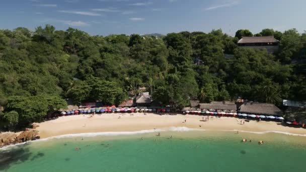 ドローン空中有名なビーチサーフィンスポットプエルトエスコンディードメキシコオアハカ砂浜とスイミングシュノーケリングリゾートの傘 — ストック動画