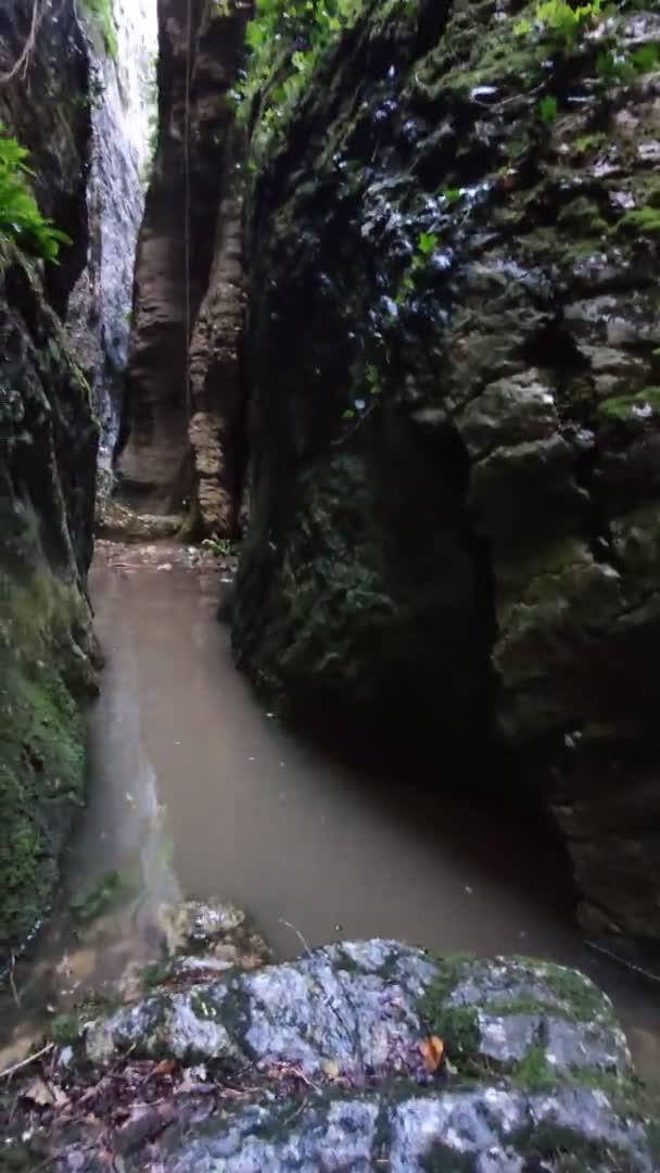 Каньон Лицебар Наварра Испания Узкий Коридор Через Который Проходит Река — стоковое видео