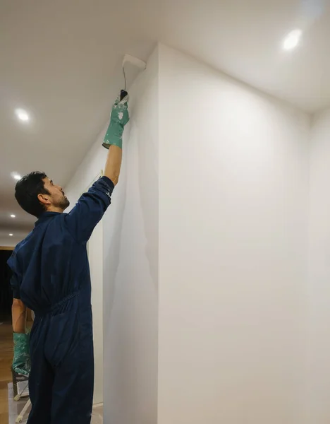 professional handyman painter paints ceiling with paint roller dressed in overalls