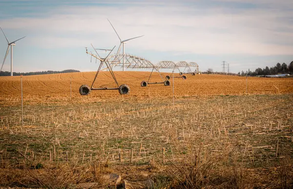 Sustainable Agriculture: Wind Turbines and Irrigation in Harvested Field.
