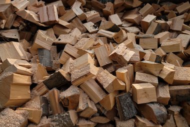 Kesilmiş odun yığını. Odun yığını. Çayırda büyük bir odun yığını.