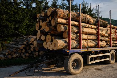 Orman endüstrisi. Ateşli araba. Ağaçların kesilmesi, ağaçların kesilmesi, orman kesimi, orman koruma kavramı.