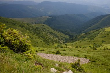 Yazın güzel dağ manzarası. Romanya 'daki Karpatlar dağları. Baiului Dağları patikaları.