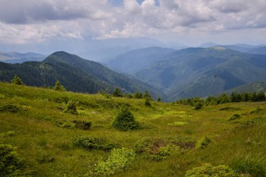 Yazın güzel dağ manzarası. Romanya 'daki Karpatlar dağları. Baiului Dağları patikaları.