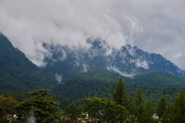 Bucegi dağlarında sisli bir hava var. Romanya