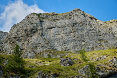 Bucegi Ulusal Parkı 'ndaki yeşil çayır ve keskin kayalarla kaplı güzel bir dağ arazisi..