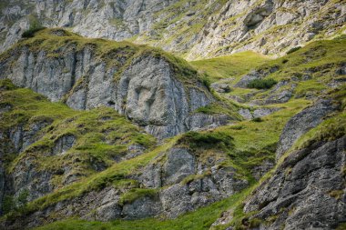 Bucegi Ulusal Parkı 'ndaki yeşil çayır ve keskin kayalarla kaplı güzel bir dağ arazisi..