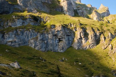 Gün batımında Bucegi Ulusal Parkı 'ndaki güzel dağ arazisini çekerken. Yeşil çayır ve keskin kayalarla kaplı dağ manzarası.