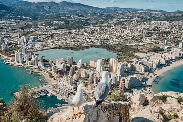 Penyal d 'Iface Doğal Parkı' ndan Calpe tatil köyünün panoraması. Calpe, Alicante, İspanya