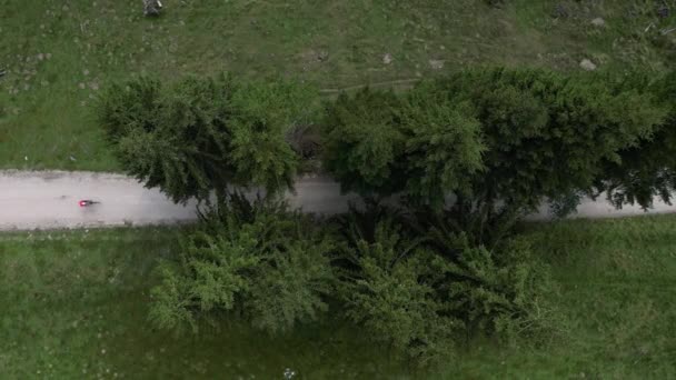 山の木の間の砂利の道に乗っている女性サイクリストのトップビュードローン映像 屋外トレーニング 旅行サイクリングアドベンチャー 汚れた道を走るバイカー トランシルバニア ルーマニア — ストック動画