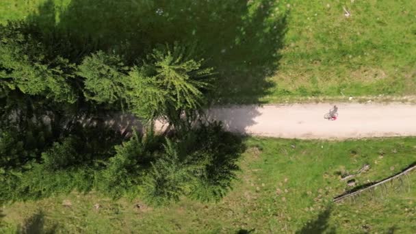 山の木の間の砂利の道に乗っている女性サイクリストのトップビュードローン映像 屋外トレーニング 旅行サイクリングアドベンチャー 汚れた道を走るバイカー トランシルバニア ルーマニア — ストック動画