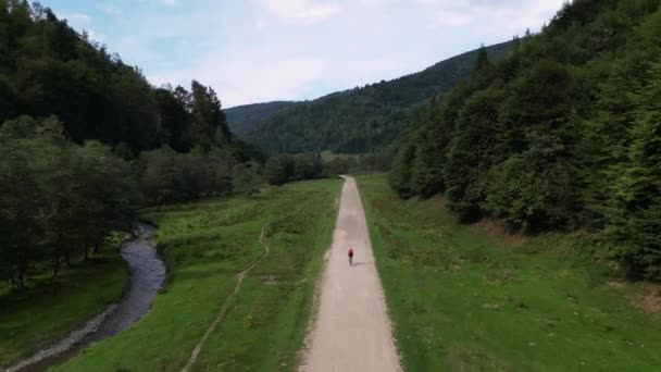 Ποδηλασία Στα Βουνά Εναέρια Drone Shot Του Ποδηλάτη Ιππασία Όμορφο — Αρχείο Βίντεο