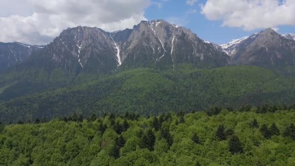 Drohne Fliegt Über Einen Grünen Karpatenwald Mit Blick Auf Den — Stockvideo