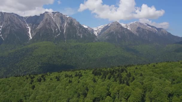 Dron Przelatuje Nad Zielonym Lasem Karpackim Widokiem Park Narodowy Bucegi — Wideo stockowe