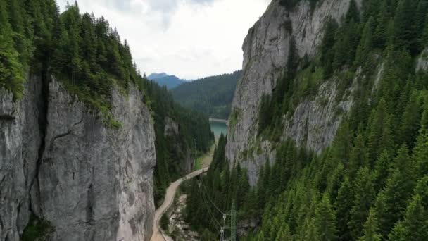 Вид Воздуха Голубое Озеро Зеленые Леса Больбочское Озеро Плотина Румынии — стоковое видео