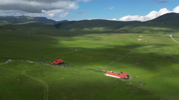 Granja Ovejas Las Montañas Viaje Drone Explorando Belleza Del Parque — Vídeos de Stock